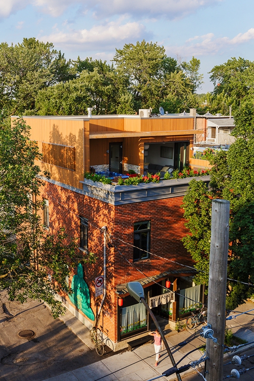 architecture project duplex montreal 23bec